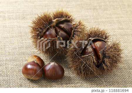 麻布の上に置いたいが付きの栗 118881694
