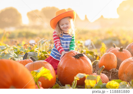 Child playing on pumpkin patch Child playing on pumpkin patch 118881880