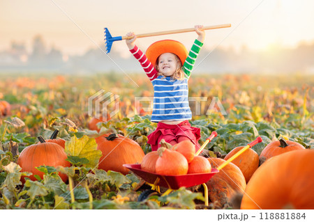 Kids picking pumpkins on Halloween pumpkin patch Kids picking pumpkins on Halloween pumpkin patch 118881884
