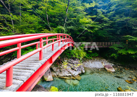 Ryujin Falls in Nakatsugawa City Japan Ryujin Falls in Nakatsugawa City Japan 118881947