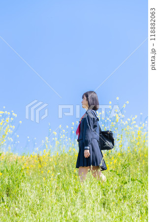 新学期を迎え通学路を登校する女子高生 新学期を迎え通学路を登校する女子高生 118882063