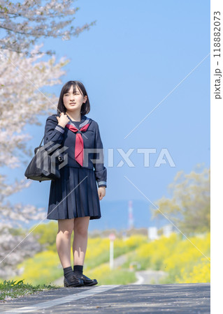 桜の咲く春に通学する女子高校生 桜の咲く春に通学する女子高校生 118882073