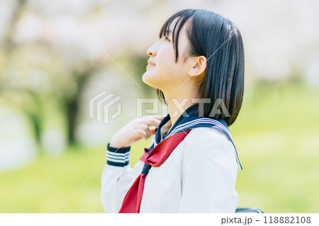 桜のアーチを歩く女子高生 桜のアーチを歩く女子高生 118882108