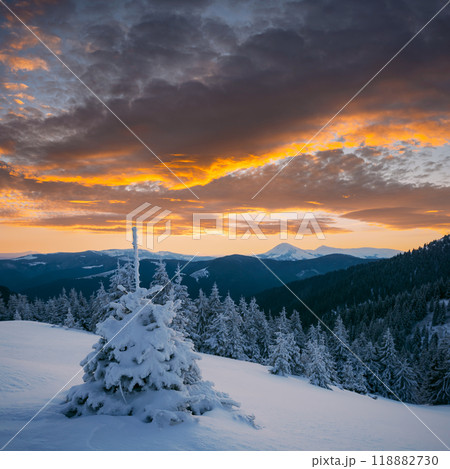 Fantastic orange sunset in snowy mountains 118882730