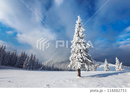 Fantastic winter landscape 118882731