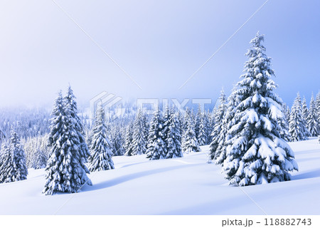 Foggy morning in winter mountains. Foggy morning in winter mountains. 118882743