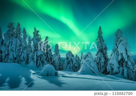 Wintry scene with glowing polar lights and snowy igloo Wintry scene with glowing polar lights and snowy igloo 118882780