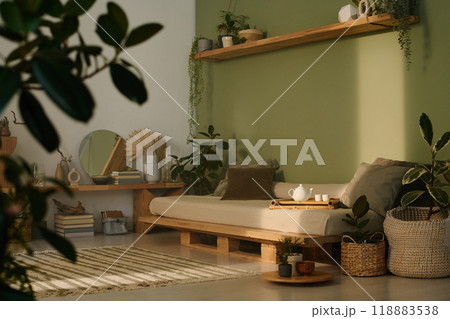 No people shot of part of modern wabi-sabi living room interior in natural colors, decorated with houseplants 118883538