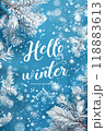 Welcome the winter season with snowy vertical background and festive message. Generative AI 118883613