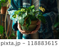 A person holding a small potted plant with green leaves in hands, close up view. Generative AI 118883615