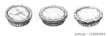 Three hand-drawn illustrations of pies, each with a unique crust and filling, are isolated on a transparent background. 118883664