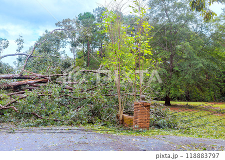 Hurricane damaged fences around house after trees fell during storm 118883797