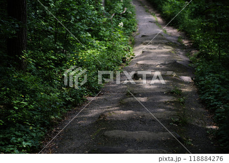 Path Picture one, Devil's lake Path Picture one, Devil's lake 118884276