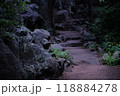 Stone path through the woods 118884278