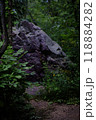 Boulder in the path forest 118884282