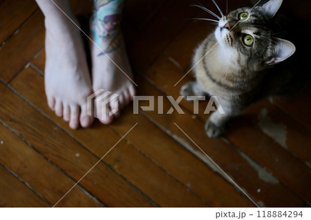 woman and cat. top view of striped cat and naked female legs on floor. Charming pet concept 118884294