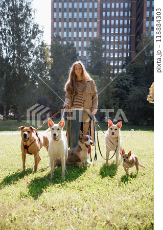 oung female dog sitter walks with dogs in park by lake. concept of friendship, pet, recreation. 118884303