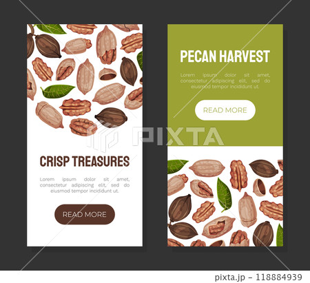 Pecan Nut Banner Design with Kernel and Shell Vector Template 118884939