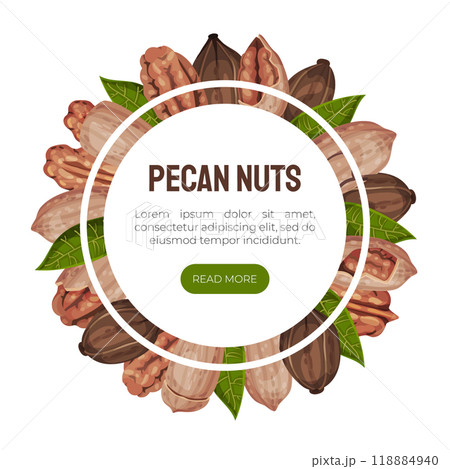 Pecan Nut Banner Design with Kernel and Shell Vector Template 118884940