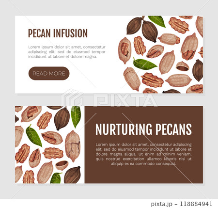 Pecan Nut Banner Design with Kernel and Shell Vector Template 118884941