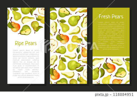 Fresh Pear Fruit Banner Design with Garden Crop Vector Template Fresh Pear Fruit Banner Design with Garden Crop Vector Template 118884951