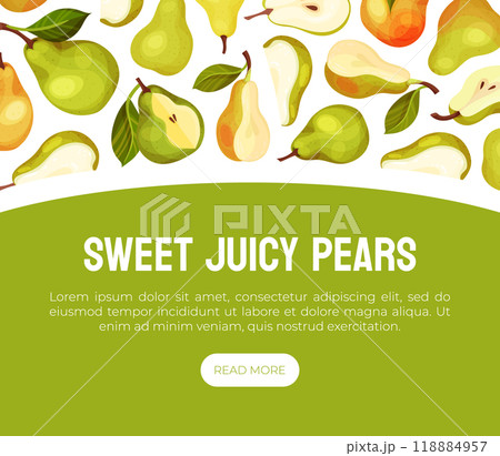 Fresh Pear Fruit Banner Design with Garden Crop Vector Template 118884957
