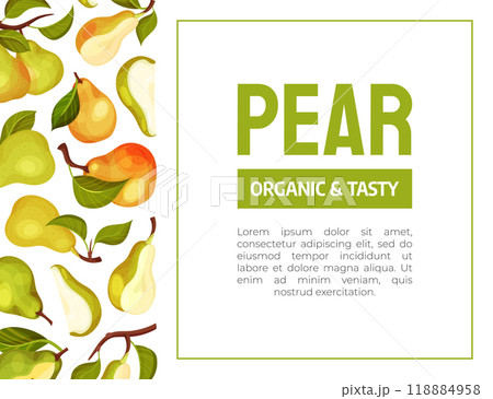 Fresh Pear Fruit Banner Design with Garden Crop Vector Template Fresh Pear Fruit Banner Design with Garden Crop Vector Template 118884958