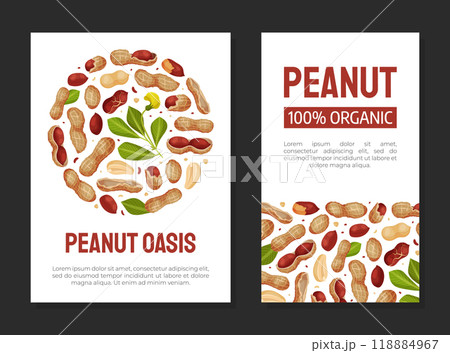 Peanut Natural Banner Design with Kernel Shell Vector Template Peanut Natural Banner Design with Kernel Shell Vector Template 118884967