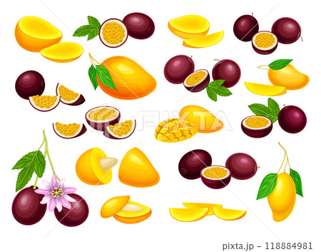 Mango and Passion Fruit Exotic Sweet Food Vector Set 118884981