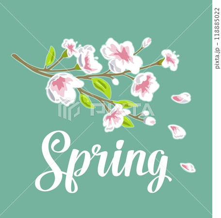 Sakura blossom. Cherry branch with flowers, bud. Spring lettering. 118885022