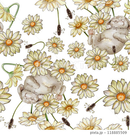 Cute fluffy rabbit sleeps on a chamomile field. Seamless pattern for printing on fabric and wallpaper for a children's room. For children's textiles, creating clothes for babies. Website design. Cute fluffy rabbit sleeps on a chamomile field. Seamless pattern for printing on fabric and wallpaper for a children's room. For children's textiles, creating clothes for babies. Website design. 118885509