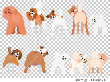 Small dog, laughing, looking back, set Small dog, laughing, looking back, set 118885715