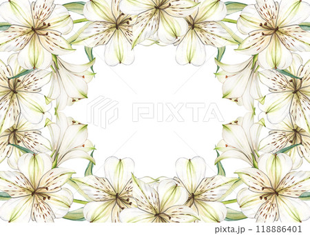 Floral frame of White flowers. Watercolor frame of alstroemeria flowers. Composition with Lilies close-up. Floral botanical illustration for graphic design, decorate, product design and postcard 118886401