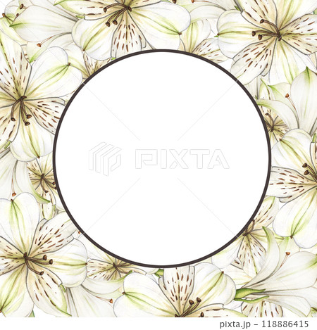 Floral frame of White flowers. Watercolor frame of alstroemeria flowers. Composition with Lilies close-up. Floral botanical illustration for graphic design, decorate, product design and postcard Floral frame of White flowers. Watercolor frame of alstroemeria flowers. Composition with Lilies close-up. Floral botanical illustration for graphic design, decorate, product design and postcard 118886415