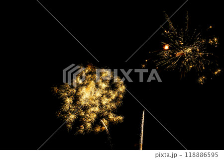 Fireworks lighting up the night sky. Pyrotechnics, abstract 118886595