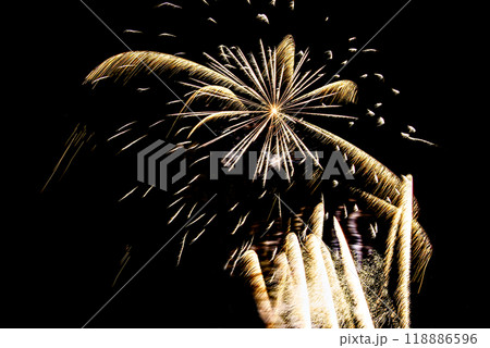 Fireworks lighting up the night sky. Pyrotechnics, abstract 118886596