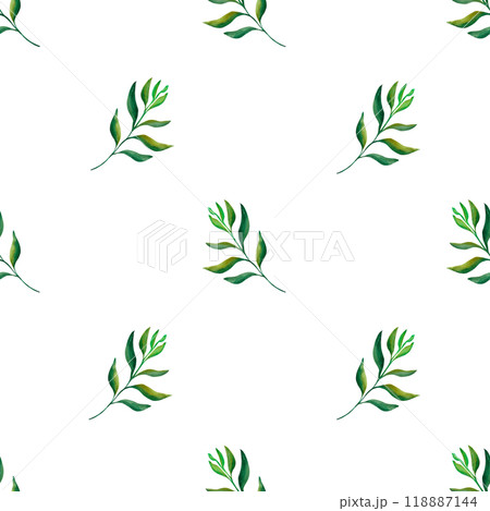 Botanical leaf. Simple seamless pattern of a plant painted with watercolor on a transparent background. For your design 118887144