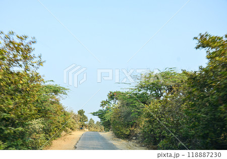 A village road in Rajasthan, India 118887230