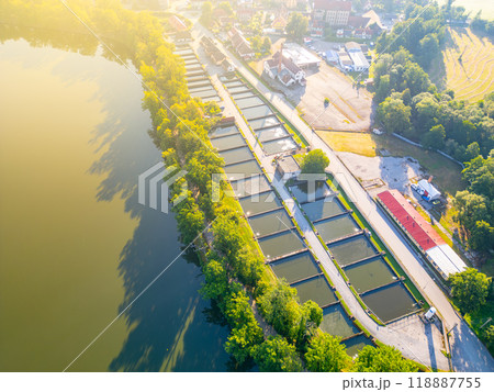 The aerial perspective showcases fish farm pools set against the lush greenery and adjacent water in Trebon, Czechia. The arrangement of pools highlights the aquaculture activity in this environment. The aerial perspective showcases fish farm pools set against the lush greenery and adjacent water in Trebon, Czechia. The arrangement of pools highlights the aquaculture activity in this environment. 118887755