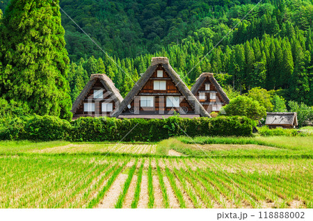 日本の原風景　秋の白川郷 118888002