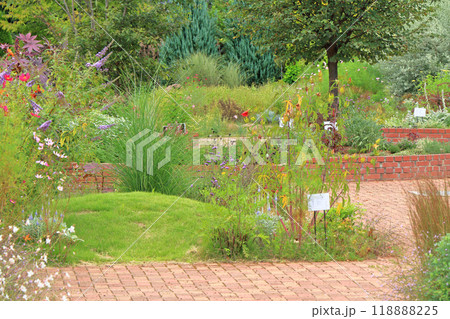 池田町ハーブステーション　花とハーブのガーデン 118888225