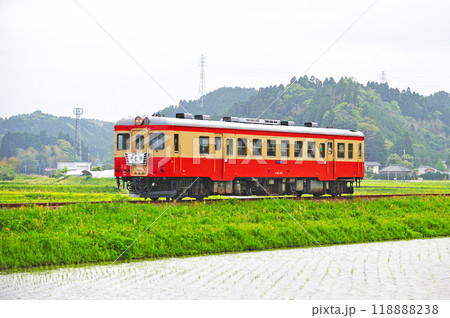いすみ鉄道 西大原ー上総東 いすみ鉄道 キハ52-125 いすみ鉄道 西大原ー上総東 いすみ鉄道 キハ52-125 118888238