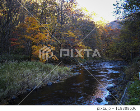 【紅葉】北海道の紅葉 北海道森町 鳥崎渓谷付近 【紅葉】北海道の紅葉 北海道森町 鳥崎渓谷付近 118888636