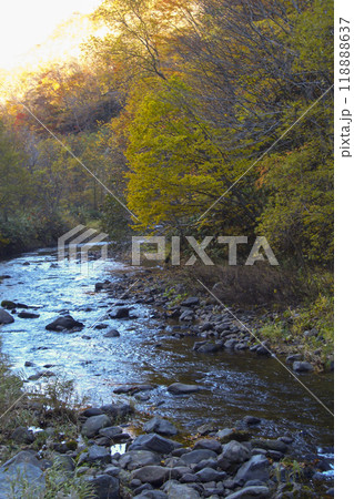 【縦構図、紅葉】北海道の紅葉 北海道森町 鳥崎渓谷付近 【縦構図、紅葉】北海道の紅葉 北海道森町 鳥崎渓谷付近 118888637