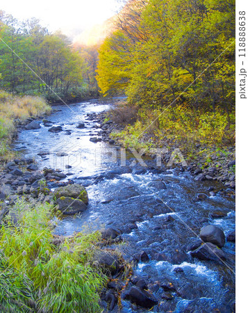 【縦構図、紅葉】北海道の紅葉 北海道森町 鳥崎渓谷付近 【縦構図、紅葉】北海道の紅葉 北海道森町 鳥崎渓谷付近 118888638