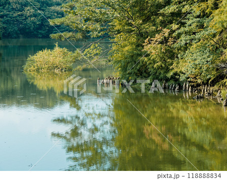愛知県森林公園の池風景 愛知県森林公園の池風景 118888834