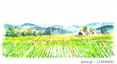 水彩で描いた田舎の田んぼの風景 118889091