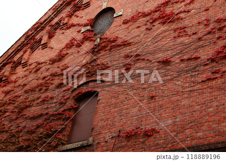 赤レンガの壁とつた紅葉 118889196