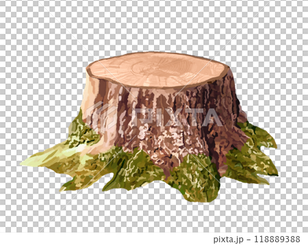 Stump (withered stump) with moss 118889388