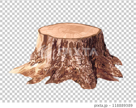 Stump (dead stump) 118889389